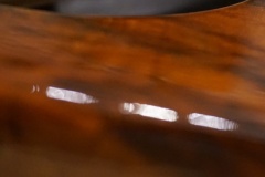 DSC05530