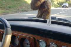 IMG-20221016-WA0038