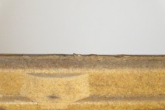 IMG_1101